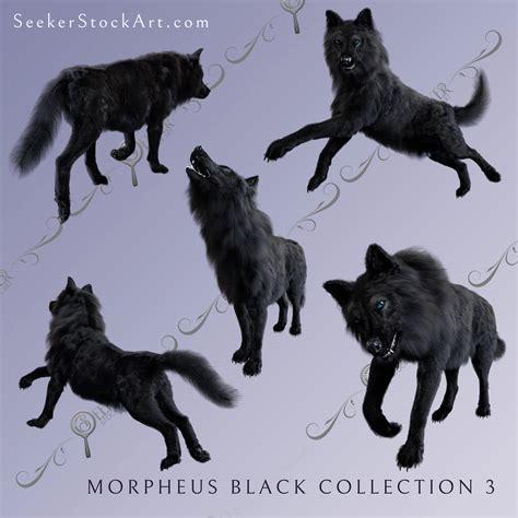 Morpheus Black Dire Wolf Collection | Seeker Stock Art