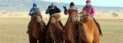 Mongolia Gobi Desert Facts | The Gobi Desert | Mongolian Desert