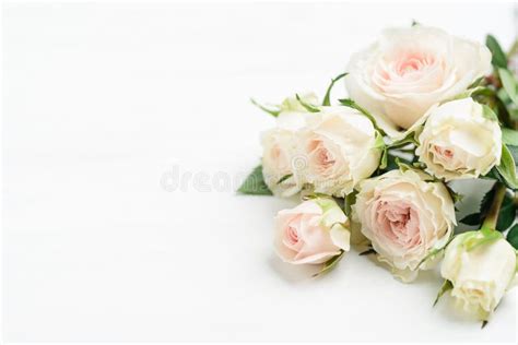 White Roses Bouquet on White Background Stock Photo - Image of natural ...