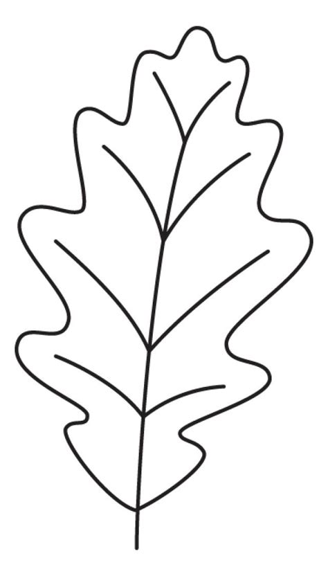 Oak Leaf Patterns - ClipArt Best