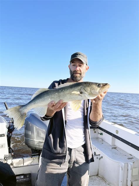 Minnesota Walleye: 3 Fantastic Recipes For Your Walleye Catches | River ...