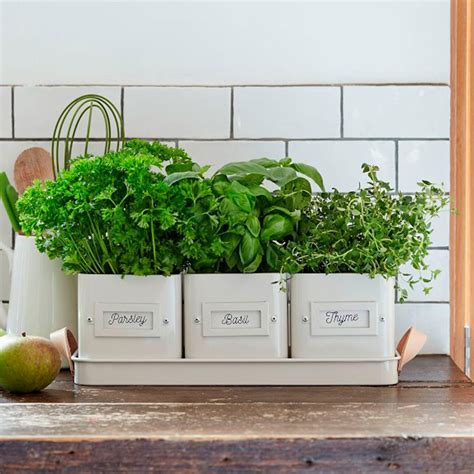 10 Charming Indoor Herb Garden Planters | Taste of Home