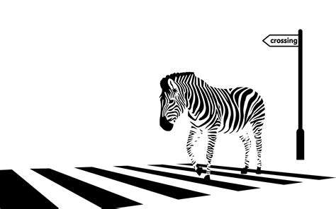 Zebra Crossing Vector by Pachyderm11 on DeviantArt