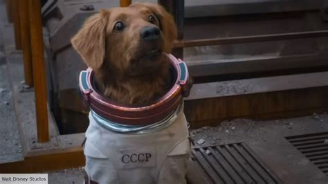 Guardians of the Galaxy — who is Cosmo the Spacedog?