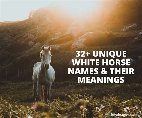 32+ White Horse Names and Their Meanings (Funny, Famous,..) | Levo