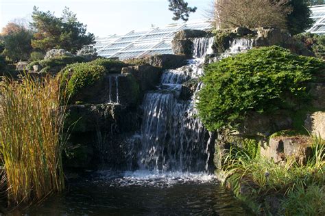 Kew Gardens, Winter 2012 | Landscape photos, Kew gardens, Outdoor