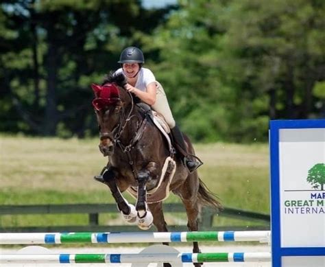 Young horse training, training a young horse , training a green horse ...