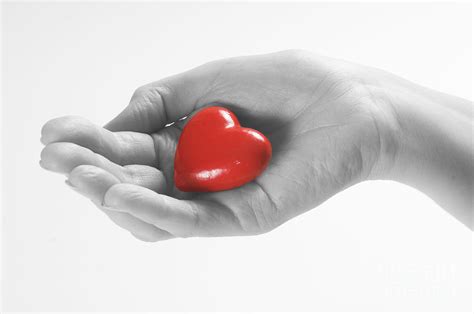 Heart in hand Photograph by Michal Bednarek - Fine Art America