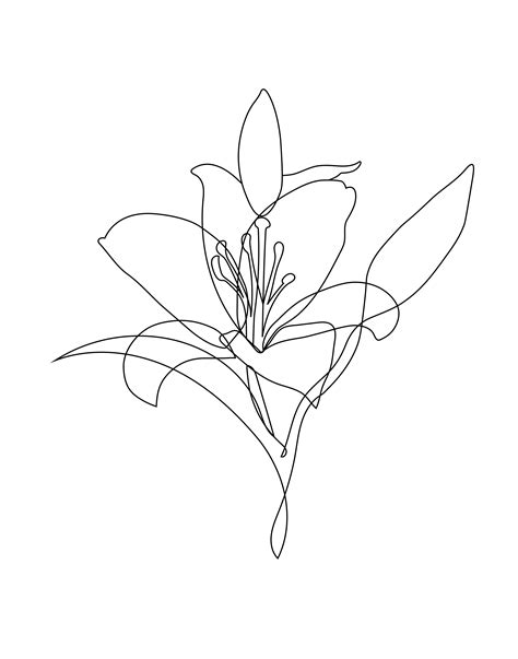 flower line art png - Linette Alger