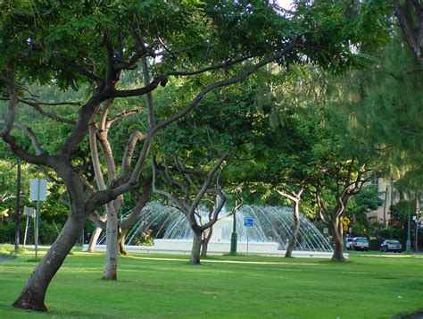 Kapiolani Park, Honolulu