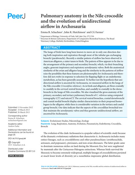 (PDF) Pulmonary anatomy in the Nile crocodile and the evolution of ...