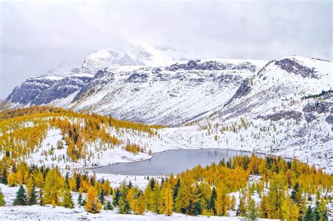 The 20 Best Banff Hikes Ranked (for 2020) - The Banff Blog