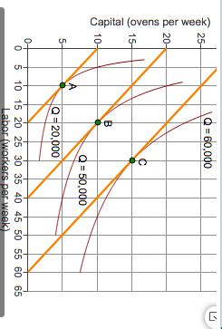 Solved The isoquant-isocost line graph illustrates the | Chegg.com