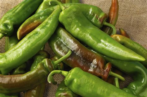 11 Types of hot peppers, ranked from mild to fiery