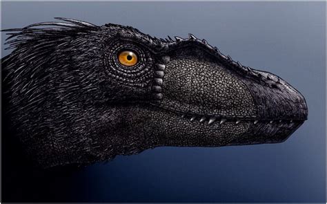 Archaic - Black Raptor by eorhythm on deviantART | Prehistoric animals ...