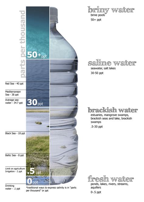 Salinity Of Ocean Water - UPSC