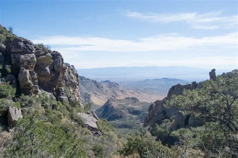 Chisos Mountains | Birding Locations