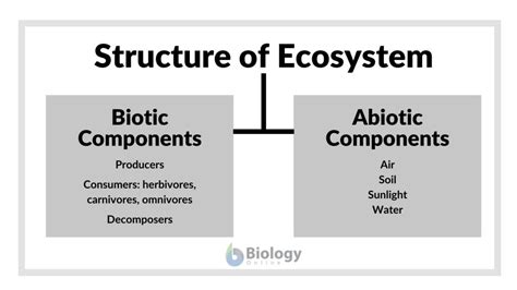 What Is Ecosystem Check Definition Structure Examples Momcute | Hot Sex ...