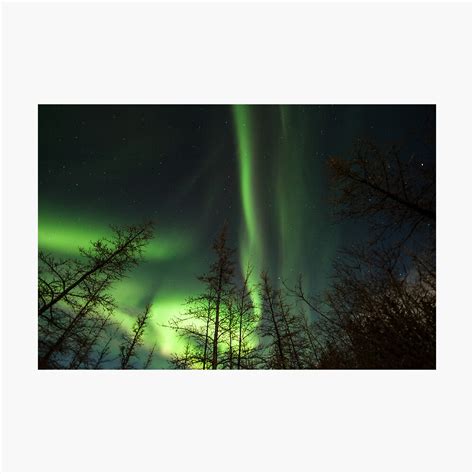 "Yukon Northern Lights 1" Photographic Print by philhart | Redbubble