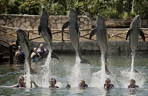 Xcaret Eco Park - Welcome to Sunkissed Tours