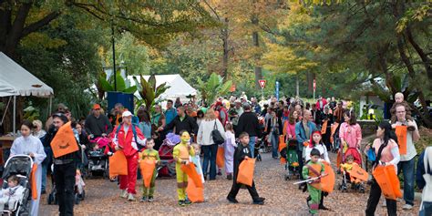 Boo at the Zoo Event Volunteer | Smithsonian's National Zoo