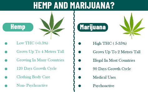 What’s the difference between Hemp vs. Marijuana - Greenpotmd