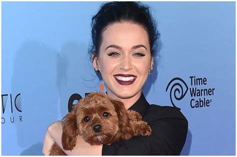 Celebrity Exotic Pets and Their Famous Parents - LawyersBlvd