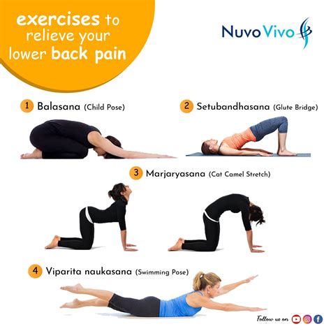 EXERCISES TO RELIEVE YOUR BACK PAIN | Lower back pain exercises, Back ...