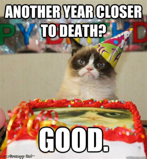 100 Best Happy Birthday Cat Memes & Images – The Random Vibez