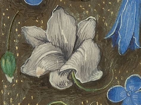 Flowers in Renaissance Manuscripts and Their Symbolism