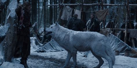 Direwolves on 'GoT' Were Real, and Scientists Can Resurrect Them | Inverse