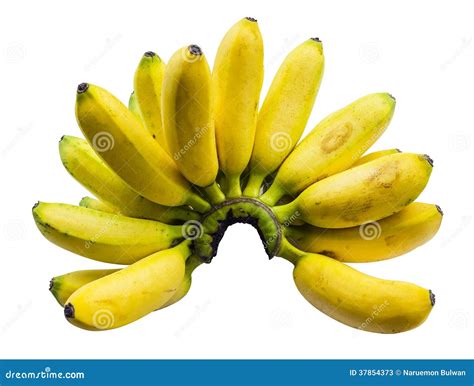 Pisang Mas banana stock image. Image of food, health - 37854373