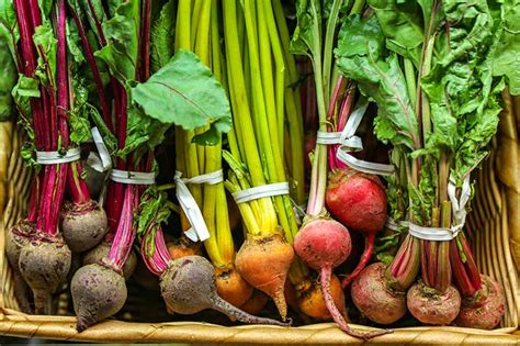 17 of the Best Beet Varieties to Plant | Gardener's Path