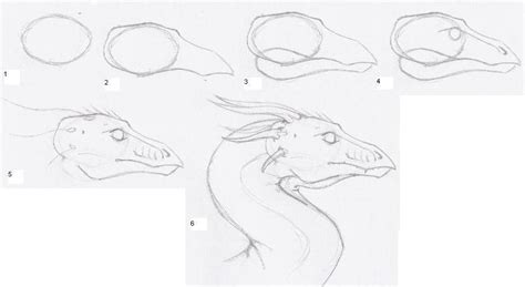 Dragon Head Tutorial by shiari on DeviantArt