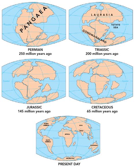 Evidence Of Tectonic Plate Movement