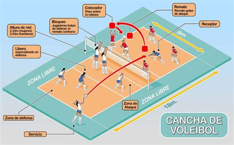 Total 99 Imagen Cuantos Jugadores Juegan En La Cancha De Voleibol