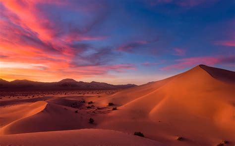 Desert Sunset Wallpapers - 4k, HD Desert Sunset Backgrounds on WallpaperBat