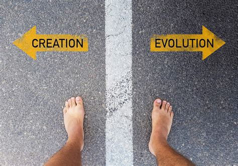 What is Evolution? - BioLogos