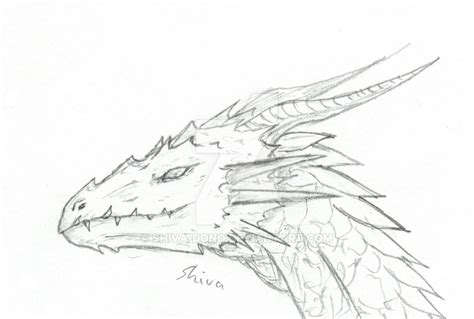 Dragon Head - Drawing Skill