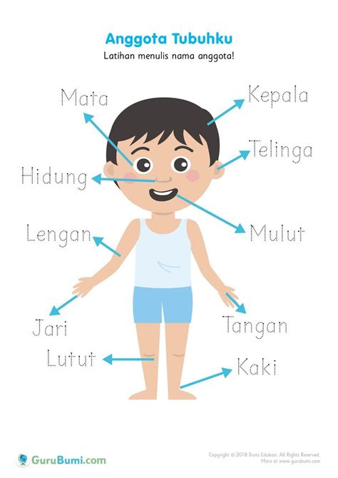 60 Gambar Anggota Tubuh Manusia Kartun | Images and Photos finder