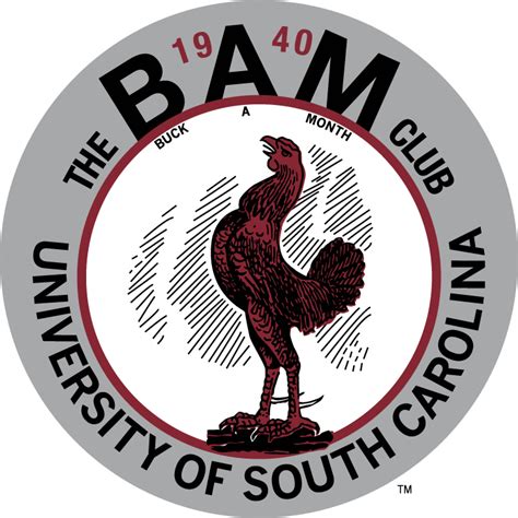 South Carolina Gamecocks Logo University of South Carolina - others png ...