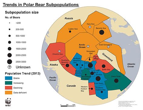 Population Characteristics - Polar Bears