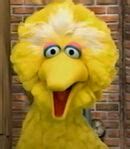 Big Bird Voice - Sesame Street: Big Bird Sings! (Movie) - Behind The ...