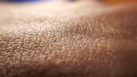 Skin Background. Closeup Human Skin. Hand Detail Stock Photo - Image of ...