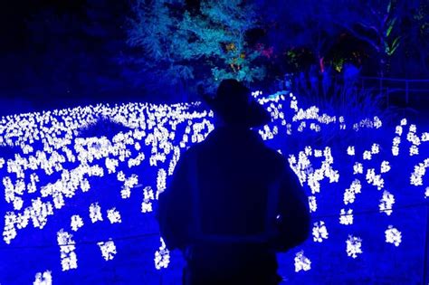 What to expect at 'Lightscape,' Fort Worth's new walk-thru winter ...