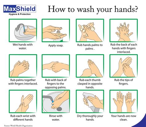 Hand Hygiene Steps Poster