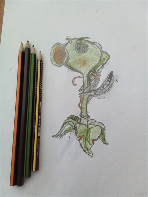 A little drawing of Peashooter (Pvz Gw2 ) : r/PlantsVSZombies