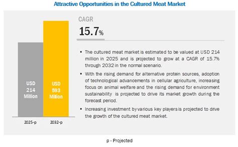 Cultured Meat Market Growth by Emerging Trends, Analysis, & Forecast ...