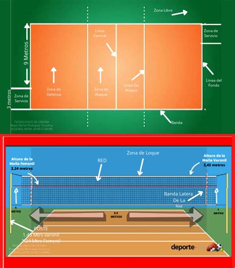 Total 39 Imagen Dimensiones De La Cancha De Voleibol Viaterramx