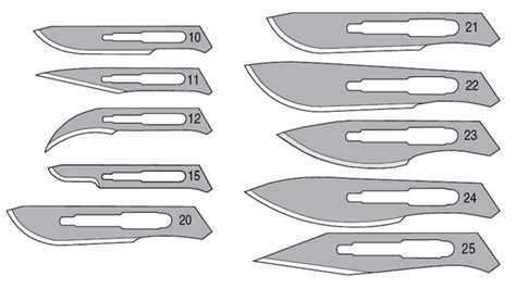 Stainless Steel Scalpel Blades | Surgical Scalpel Blades